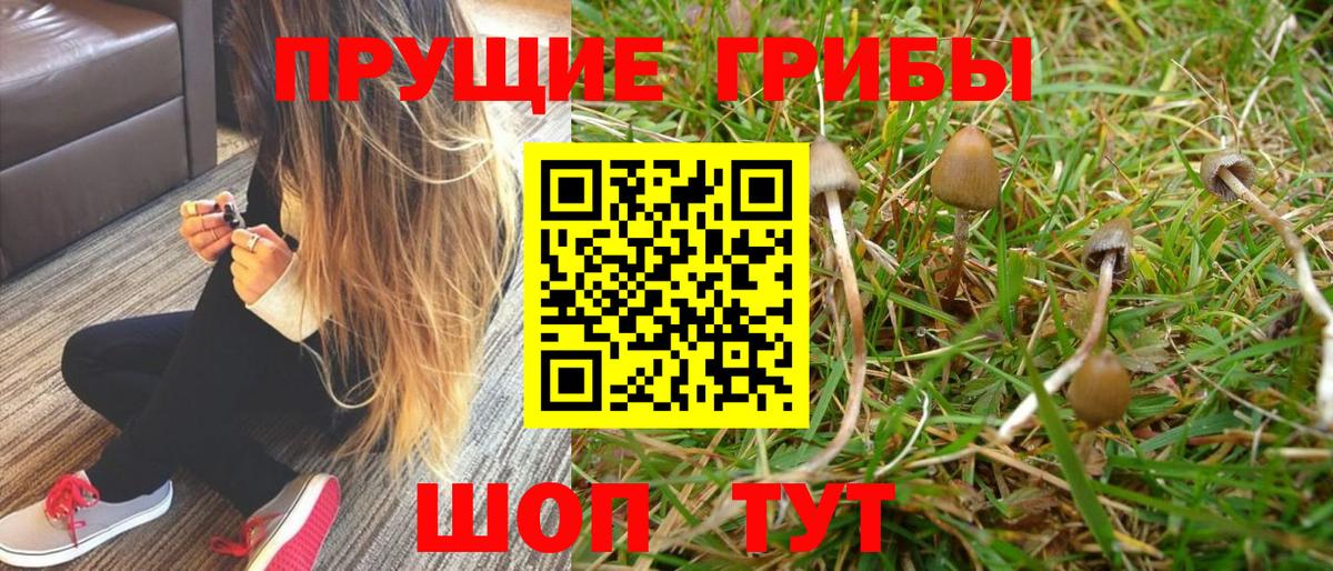 Галлюциногенные грибы ЛСД  Вход с VPN  Псилоцибиновые грибы Magic Shrooms  Конаково 