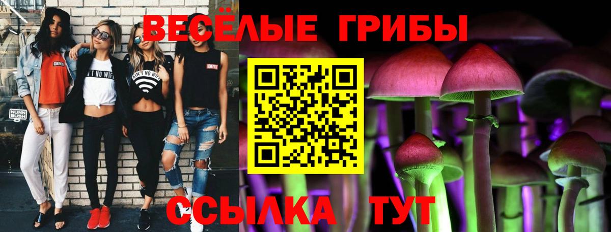 Псилоцибиновые грибы Magic Shrooms Конаково