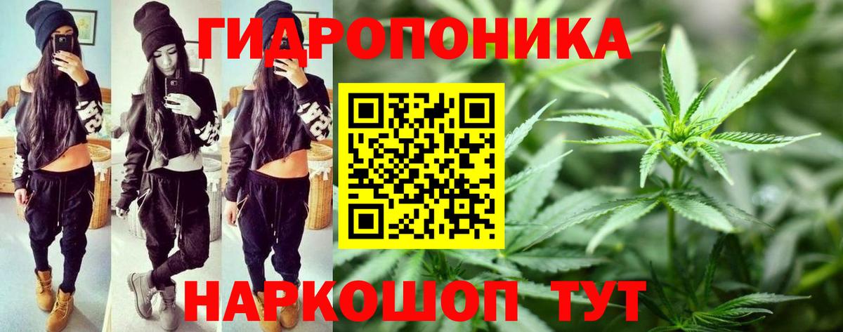 Бошки Шишки конопля  Вход с VPN  Бошки Шишки сатива  Каннабис гибрид  Конаково 