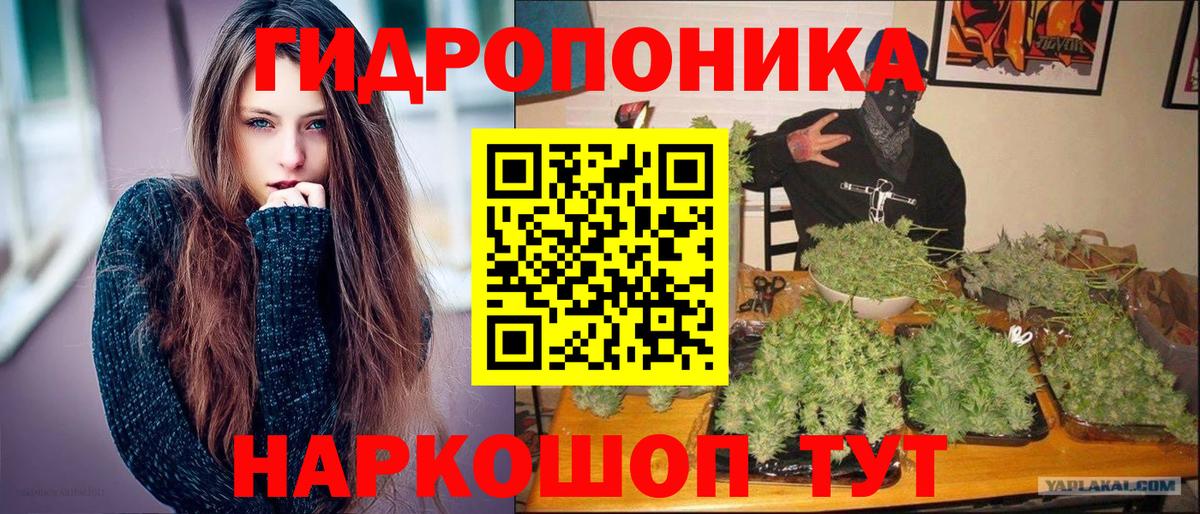 Канабис гибрид Конаково